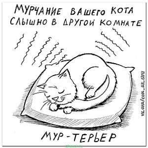 604 X 604  74.1 Kb Улыбнемся?