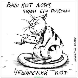 604 X 604  70.5 Kb 604 X 604  67.3 Kb 604 X 604  74.1 Kb Улыбнемся?