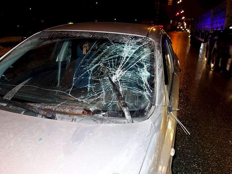 1920 X 1440 268.9 Kb 1920 X 1440 220.0 Kb 1920 X 1440 205.2 Kb 23.11.2015         .