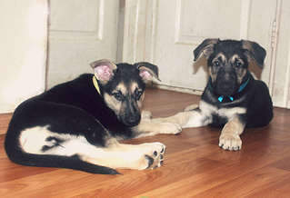 1920 X 1309 166.6 Kb 1920 X 1310 210.1 Kb  - !