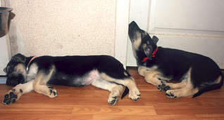 1920 X 1029 167.5 Kb 1920 X 1309 166.6 Kb 1920 X 1310 210.1 Kb  - !