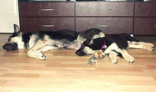 1920 X 1137 192.0 Kb 1920 X 1136 136.3 Kb 1920 X 1029 167.5 Kb 1920 X 1309 166.6 Kb 1920 X 1310 210.1 Kb  - !