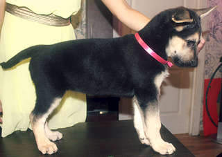 1920 X 1362 169.8 Kb  - !