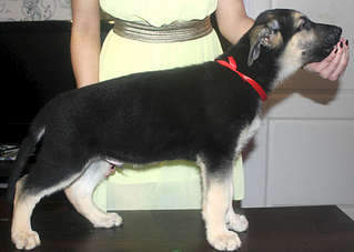 1920 X 1366 171.7 Kb  - !