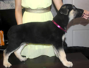 1920 X 1481 157.2 Kb  - !