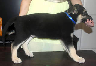 1920 X 1324 137.3 Kb  - !