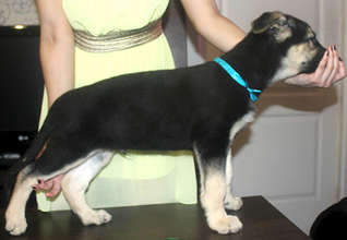 1920 X 1325 129.8 Kb  - !