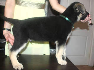 1920 X 1425 163.0 Kb  - !