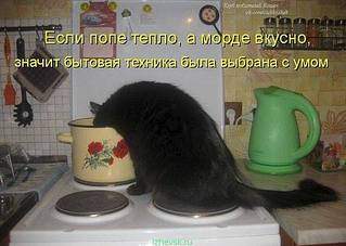 604 X 430  37.2 Kb Улыбнемся?