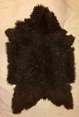 1944 X 2864 393.3 Kb         