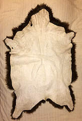 2016 X 2960 429.5 Kb 1944 X 2864 393.3 Kb         