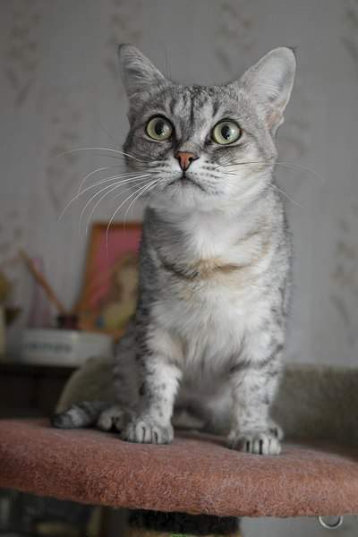 1440 X 2160 327.2 Kb     .