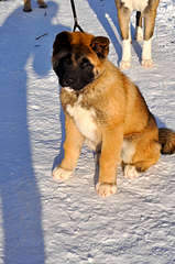 1920 X 2890 600.2 Kb     