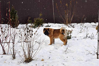 1920 X 1275 334.7 Kb 1920 X 2890 600.2 Kb     