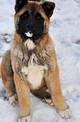 1920 X 2890 384.6 Kb 1920 X 1275 334.7 Kb 1920 X 2890 600.2 Kb     