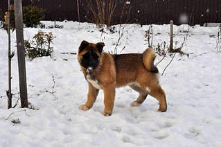 1920 X 1275 205.6 Kb 1920 X 2890 384.6 Kb 1920 X 1275 334.7 Kb 1920 X 2890 600.2 Kb     