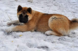 1920 X 1275 261.2 Kb 1920 X 1275 205.6 Kb 1920 X 2890 384.6 Kb 1920 X 1275 334.7 Kb 1920 X 2890 600.2 Kb     