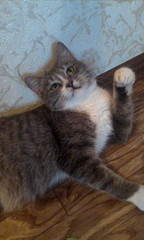 960 X 1600 308.5 Kb    !