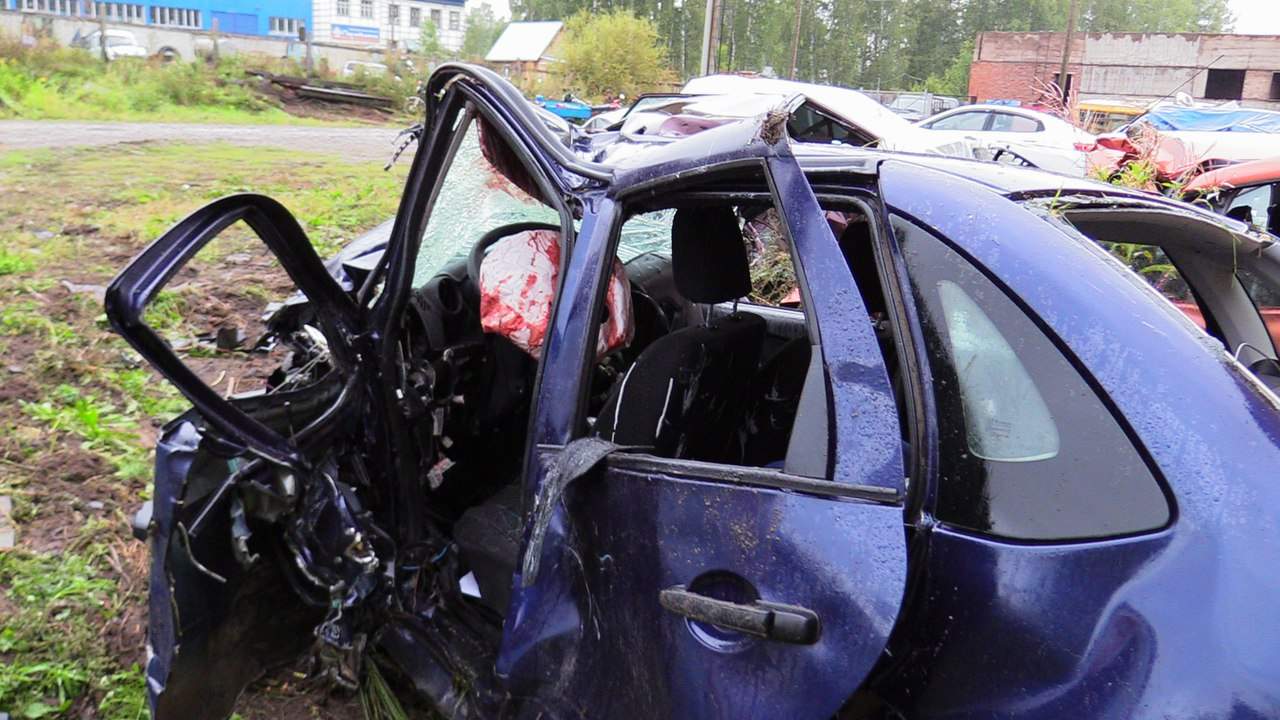 Фото трупов дтп