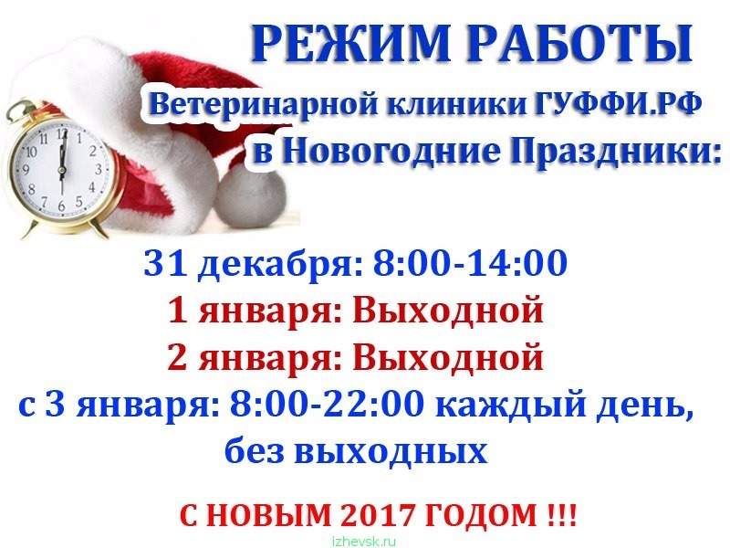 График работы приставов апатиты График работы вет клиник в новогодние праздники! : О животных