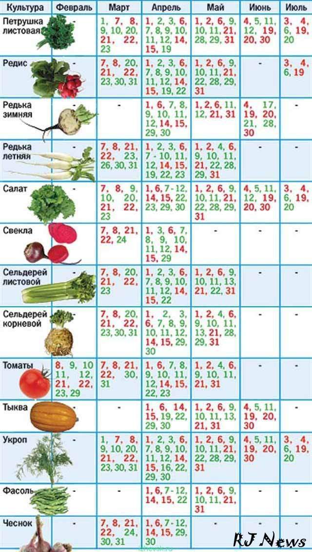 Можно сегодня сеять цветы. Таблица посева овощей лунный календарь. Лунный календарь для посадки овощей. Календарь посадоковощец. Лунный календарь для посадкиоващей.