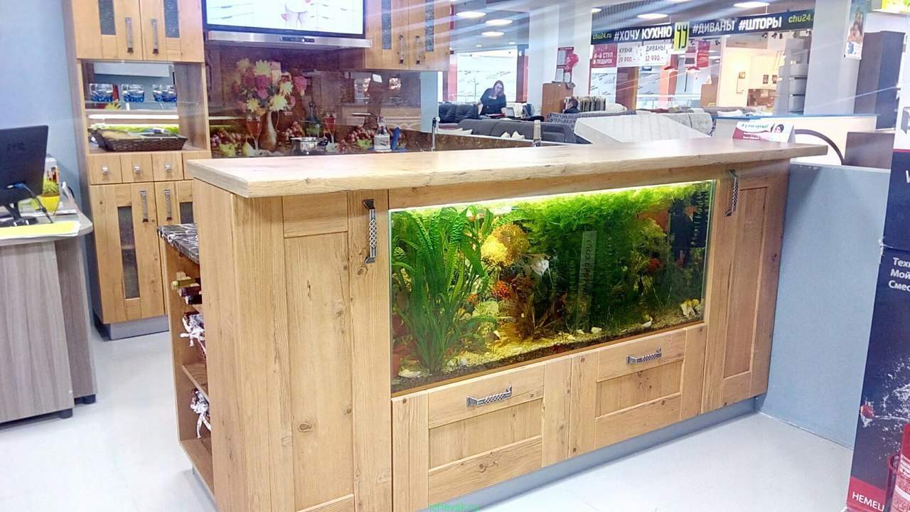 Купить Аквариум В Ельце На Авито Недорого