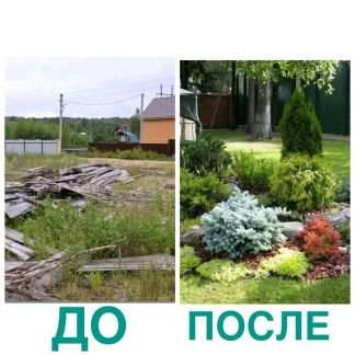 Сад и через года: найдено 90 изображений