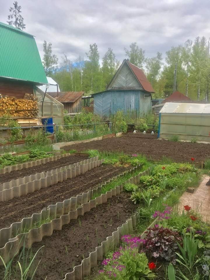 Снт сад. СНТ янтарь Ижевск. Огород СНТ В Ижевске. Огород в СНТ. Продажа огородов в.