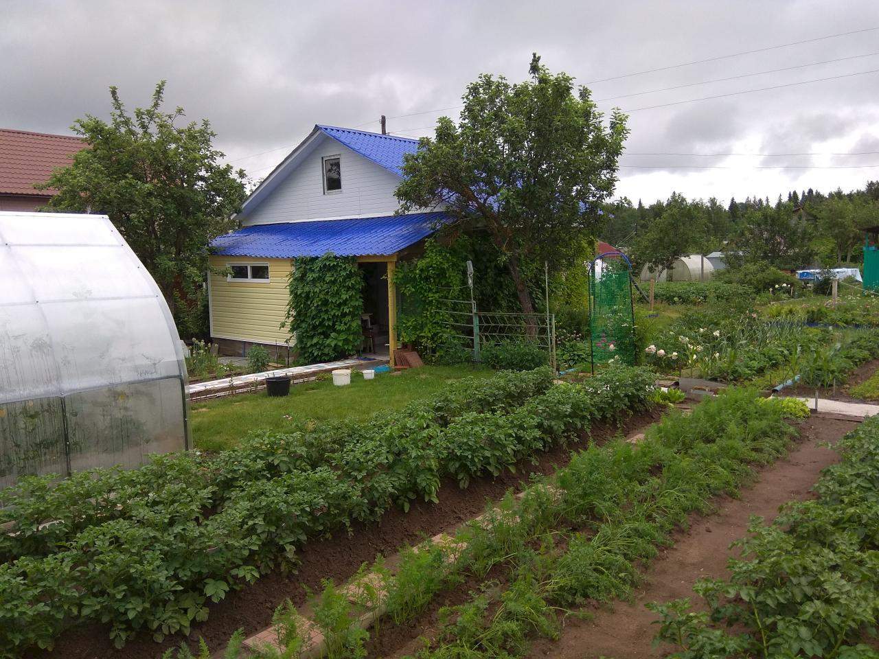 Снт Заречный Ижевск Купить Огород