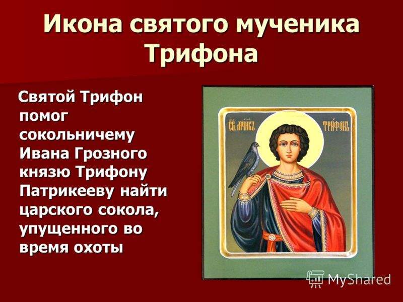 День святого трифона 14