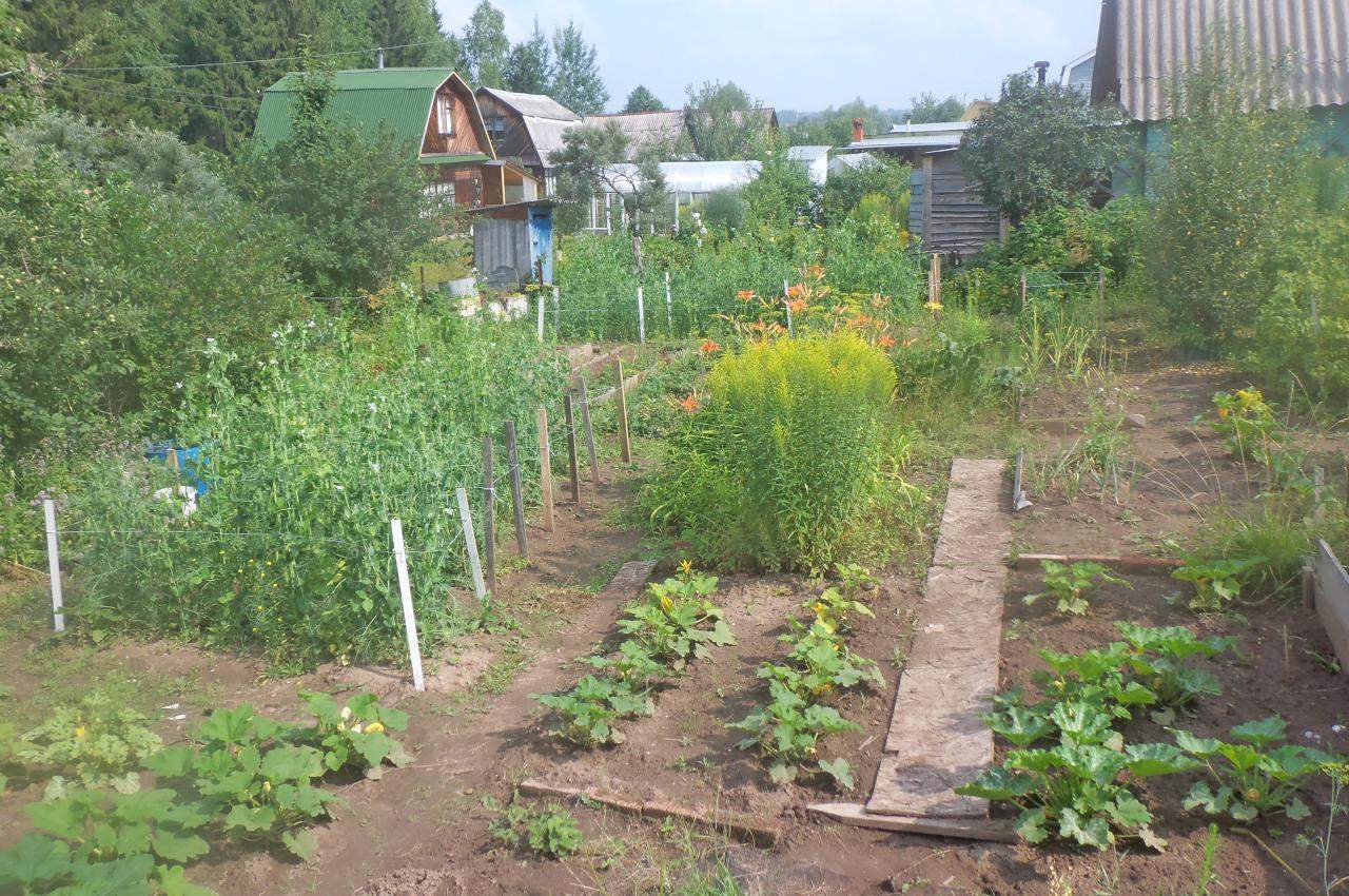 Купить Сад В Сарапуле Пищевик