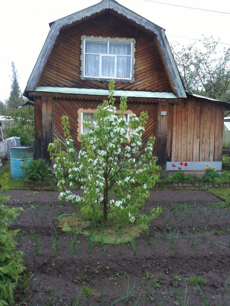 Снт Михайловское Барнаул Купить Дачу