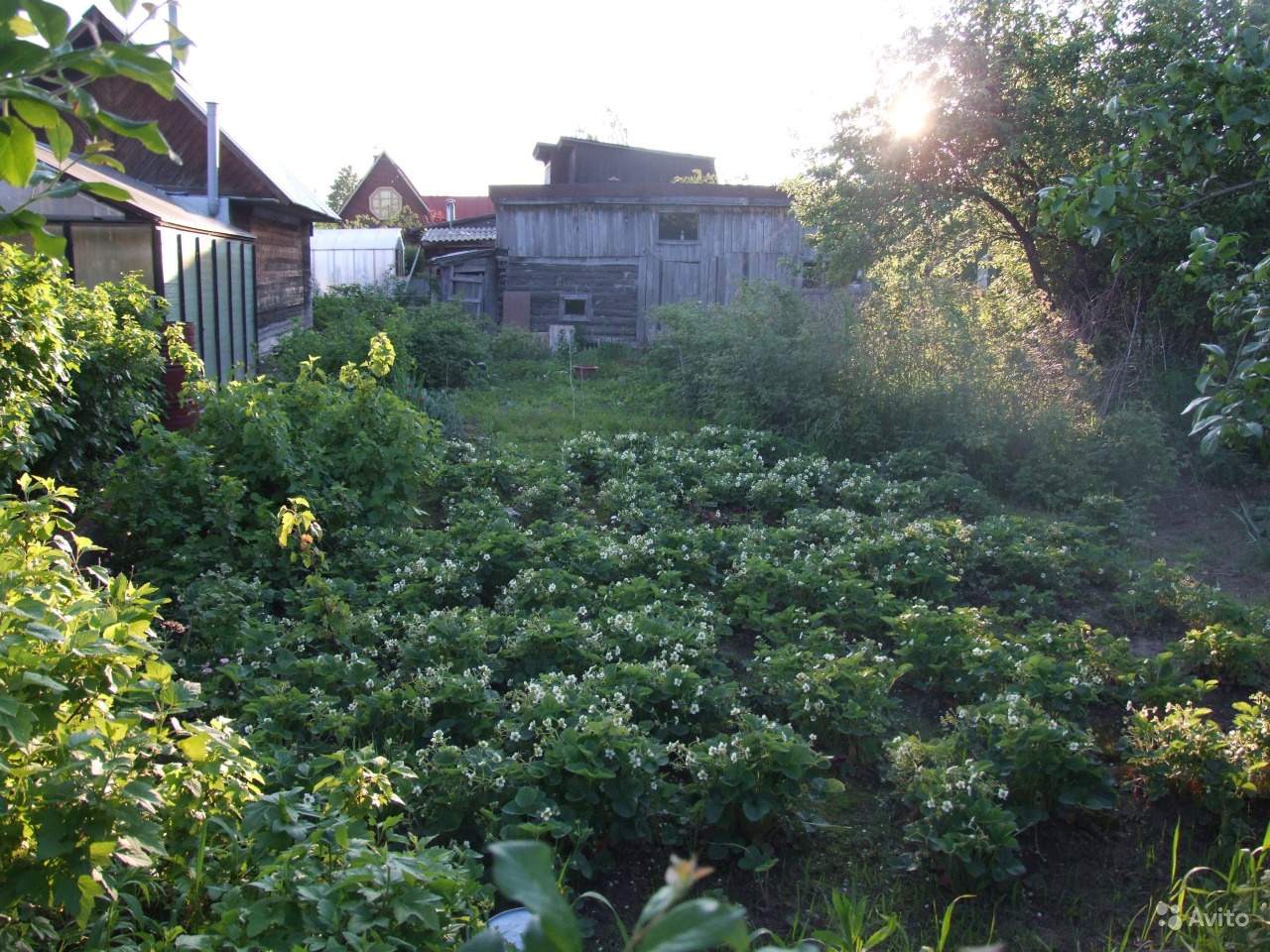 Снт В Ижевске Купить Недорого
