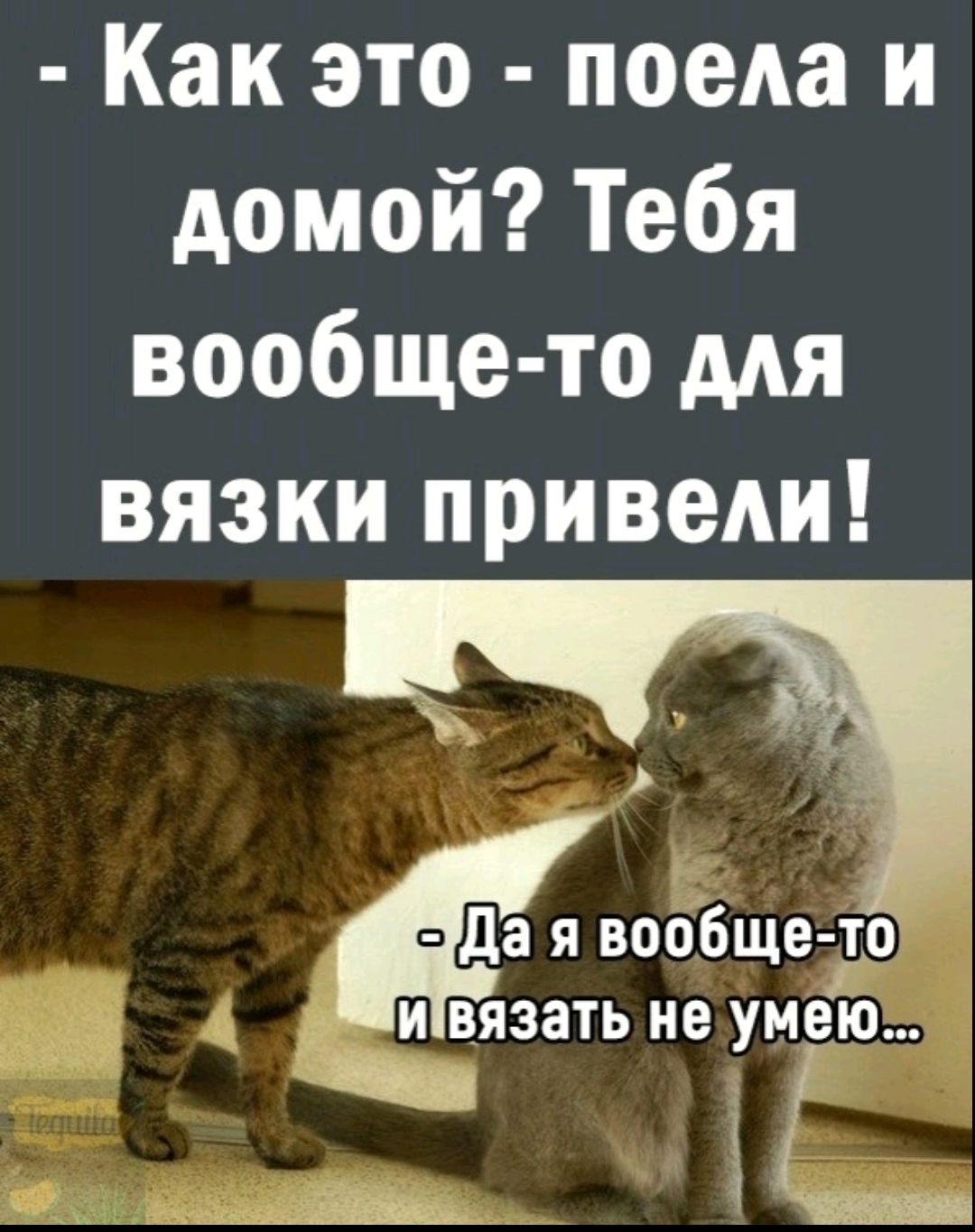 Вообще вообще. Вообще то мем. Вообще-то значение слова. А как это вообще то. Кто ты?.